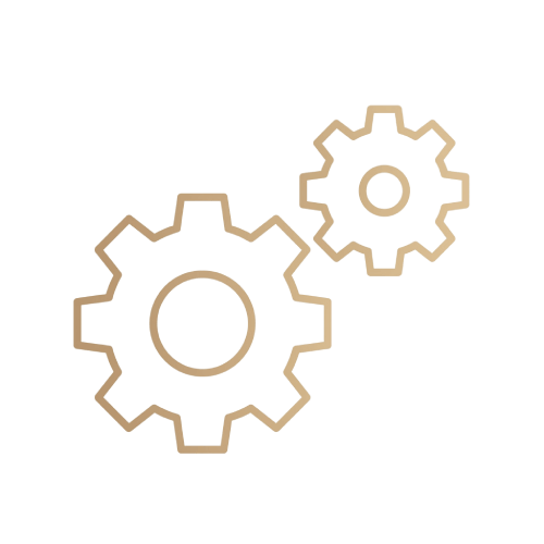 Development